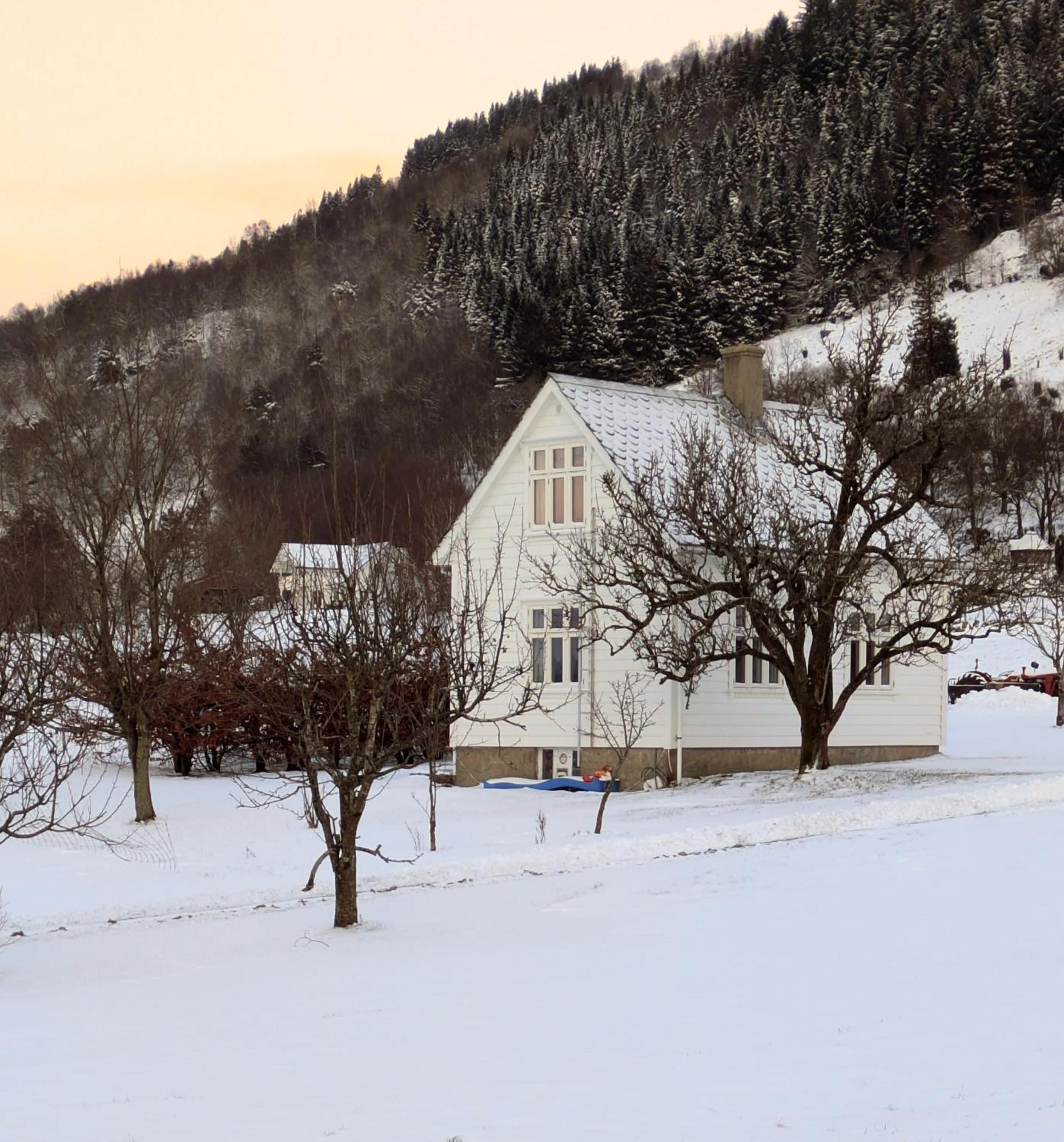 Donhaug Gjestegard Uskedalen Bagian luar foto