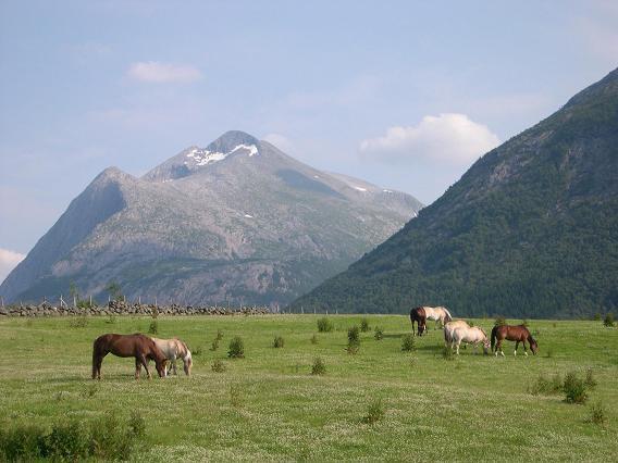 Donhaug Gjestegard Uskedalen Bagian luar foto